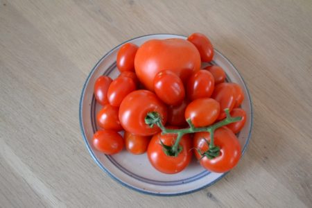 Tomaten aus den Vierlanden